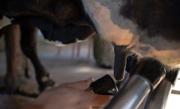 Região sul produz cerca de 12 bilhões de litros de leite por ano. (foto - Sistema CNA/Senar)
