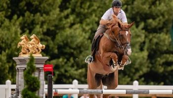 Hipismo do Brasil é desclassificado das Olimpíadas por ferimento em cavalo