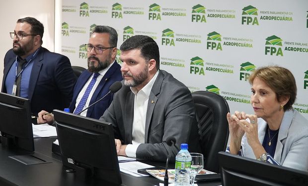 Segundo Lupion, a FPA está mobilizada para garantir o direito de propriedade no país