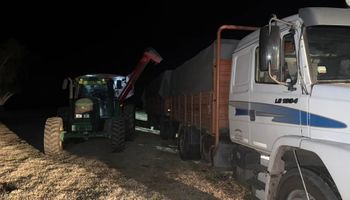 Cosecharon 20 toneladas de maíz en campo ajeno y los detuvieron en pleno traspaso de los granos a un camión