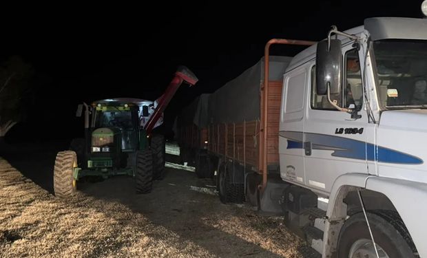 Cosecharon 20 toneladas de maíz en campo ajeno y los detuvieron en pleno traspaso de los granos a un camión