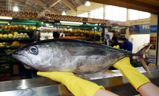 Com estoques cheios e alta nas vendas, setor de pescados vive Páscoa favorável
