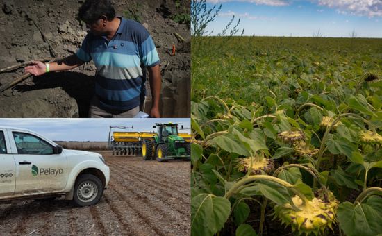 Dos firmas 100% pampeanas convencidas de que la sustentabilidad se basa en los hechos integraron sus certificaciones y trabajan para producir cuidando
recursos clave como el suelo y las personas; una de las claves es contratos de alquiler más largos