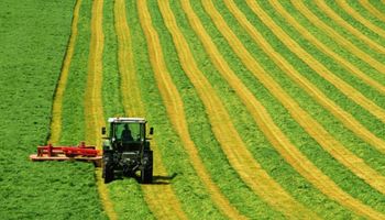 Quais são os estados que mais utilizam o penhor rural?