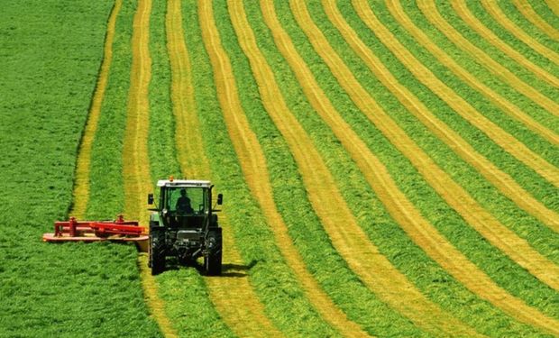 Quais são os estados que mais utilizam o penhor rural?