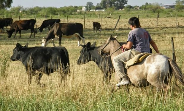 Trabajadores rurales: el gremio asegura que el empleo informal supera el 50%