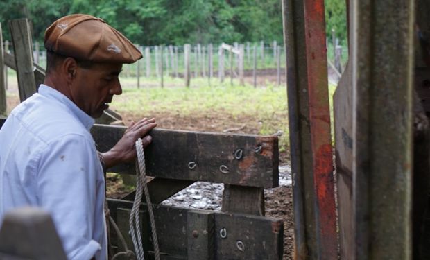 Aumento de la prestación por desempleo para trabajadores rurales.