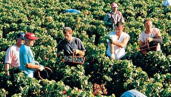Aumenta empleo no agrícola en zonas rurales