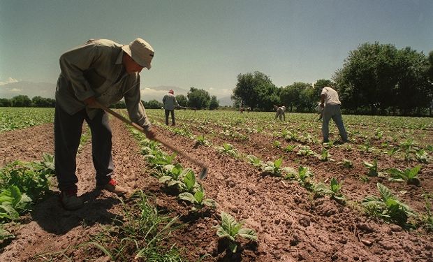 Trabajadores rurales: la UATRE pidió un bono de 60 mil pesos para fin de año