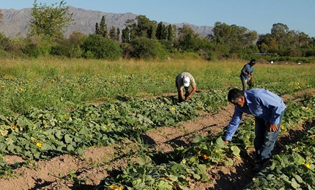 Las resoluciones dictadas por la Comisión Nacional de Trabajo Agrario (CNTA) mantienen su vigencia y continúan operativas.