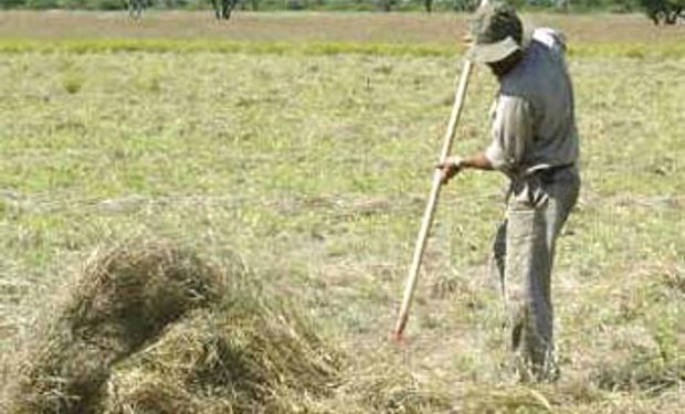 América Latina y el Caribe viven el mejor momento para la agricultura