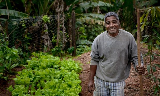 Em 2019, o valor destinado pelo PNAE representou R$ 1,475 bilhão e chegou a cerca de 173.500 produtores