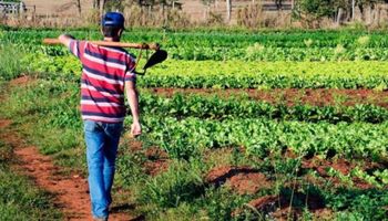 Projeto cria “Desenrola Rural” para renegociação de dívidas de pequenos agricultores