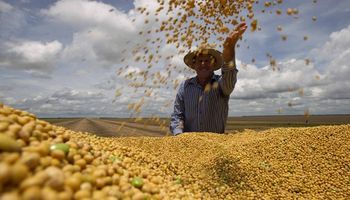 Brasil produzirá 379 milhões de toneladas de grãos até 2034