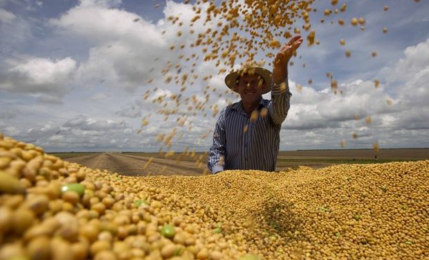 Brasil produzirá 379 milhões de toneladas de grãos até 2034