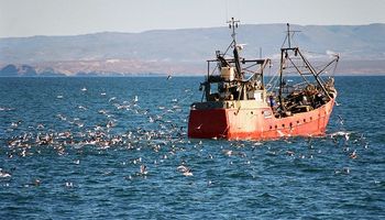 El sector pesquero se comprometió a liquidar 300 millones de dólares, pero reclamó por la importación de insumos