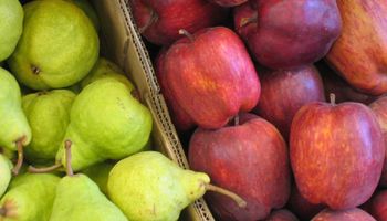 Menos envíos de peras y manzanas a Brasil