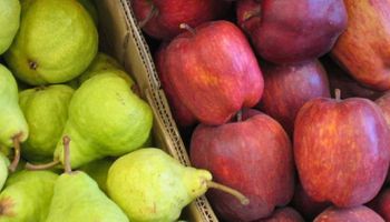 Lanzan un plan de pagos para la cadena de producción de peras y manzanas