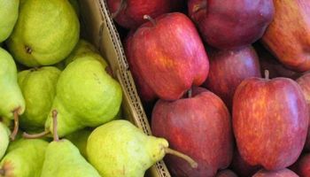 Economías Regionales: 7 en rojo, 5 en amarillo y 7 en verde