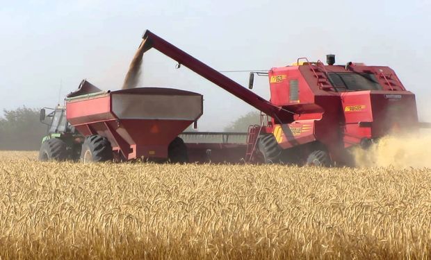 El promedio de pérdidas de cosecha en las últimas campañas es de 100 kg de trigo por hectárea cosechada.