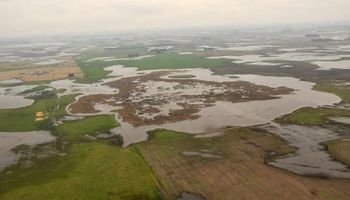 Inundaciones amenazan con generar pérdidas para el trigo