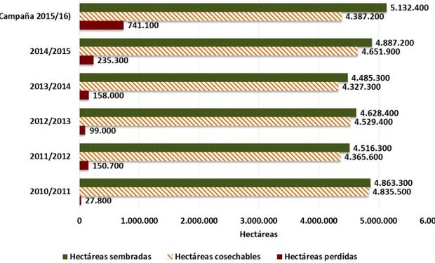 Hectáreas sembradas vs hectáreas cosechables.