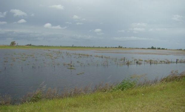 Campos de corazón agrícola argentino, afectados por las inundaciones.