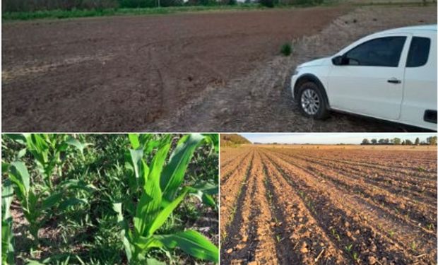 Manejo en áreas periurbanas: resultados de una primera experiencia en soja y maíz de Pergamino