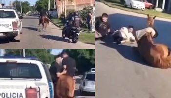 Robaban a caballo y se desató una insólita persecución: el video y cómo se recupera la yegua tras caer al piso