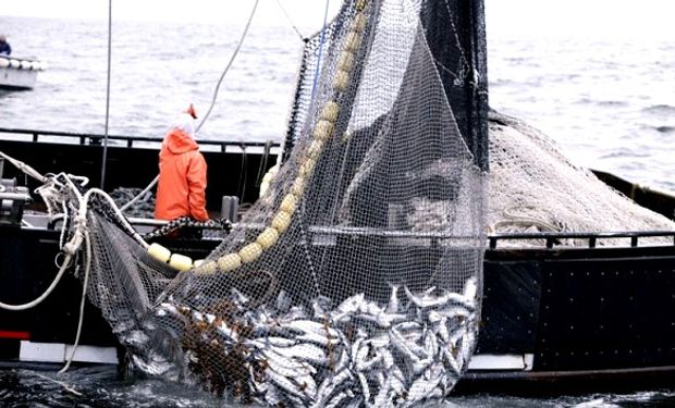 Cuántos dólares aportó el sector pesquero en ocho meses