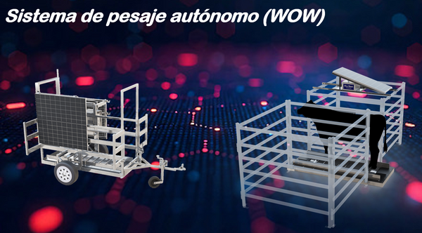 pesaje tecnologia