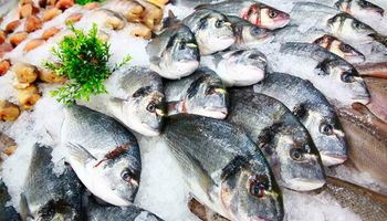 Setor de pescados quer prioridade no crédito emergencial após tarifaço
