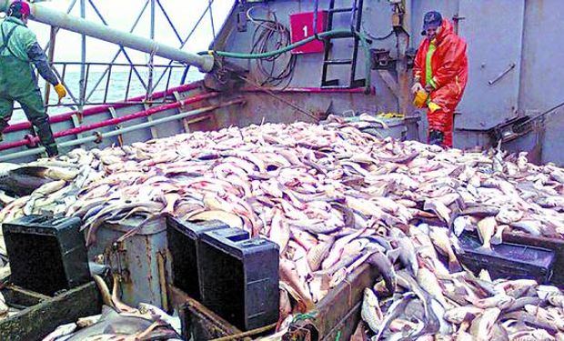 Con exportaciones récord, el sector pesquero viene viento en popa | Agrofy News
