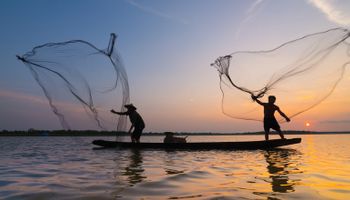 Entenda o período de defeso e a piracema: o que muda para pescadores e consumidores