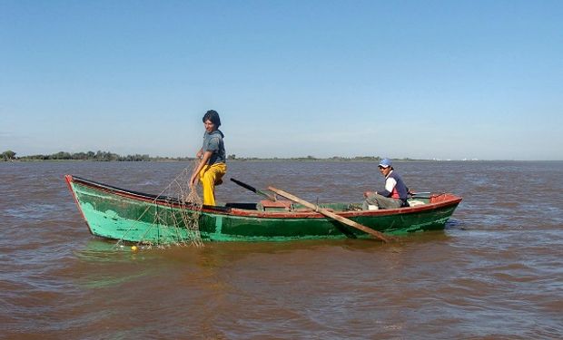 Por la bajante del Paraná, limitan al 50 % la exportación de pescados de río