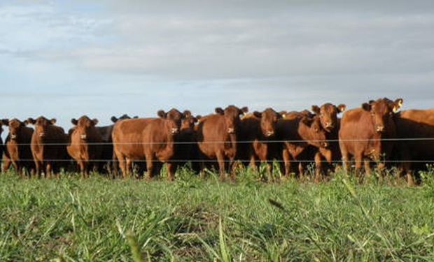 Controles sobre el peso mínimo de faena