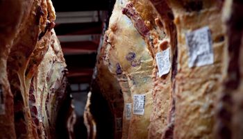 La exportación de carne sigue batiendo récords