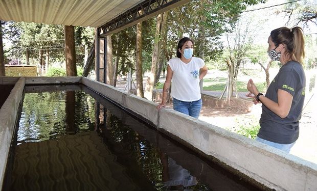 San Luis: siembran pejerreyes en cuerpos de agua para combatir al mosquito del dengue