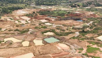 Governo cria comissão para zerar desmatamento no Brasil até 2030
