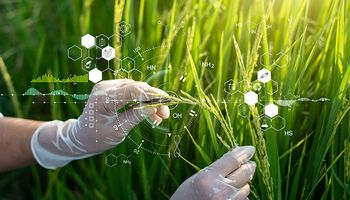 A Propriedade Intelectual é uma boa ideia para o agro