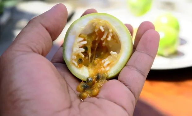 Projeto quer transformar o Estado num grande polo produtor de frutas como acerola e maracujá. (Foto: Getty Images)