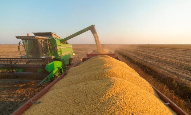 Safra recorde de soja ajudou a puxar o avanço da economia brasileira no início de 2026, segundo dados divulgados pelo IBGE