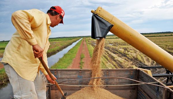 Plantação de soja em área agrícola no Brasil; safra recorde ajudou a impulsionar o crescimento do PIB brasileiro no primeiro tri