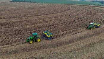 Economia brasileira avança apenas 0,1% no trimestre; agro lidera alta anual do PIB