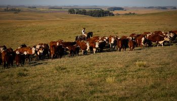 FGV atribui alta de 2,5% no PIB em fevereiro à agropecuária