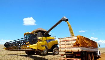 PIB da agropecuária registrou queda no segundo trimestre, aponta IBGE