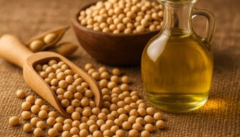 PIB da cadeia da soja e do biodiesel deve crescer 11% no Brasil em 2025