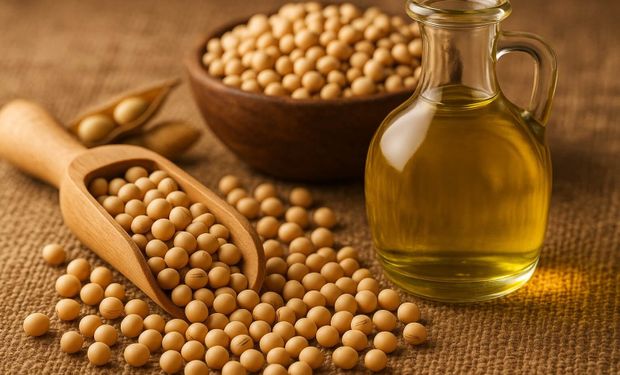 PIB da cadeia da soja e do biodiesel deve crescer 11% no Brasil em 2025
