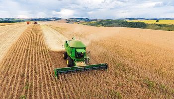 Agro avança 10% em um ano e sustenta PIB, apesar de queda trimestral