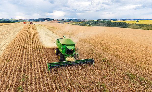 Agro avança 10% em um ano e sustenta PIB, apesar de queda trimestral